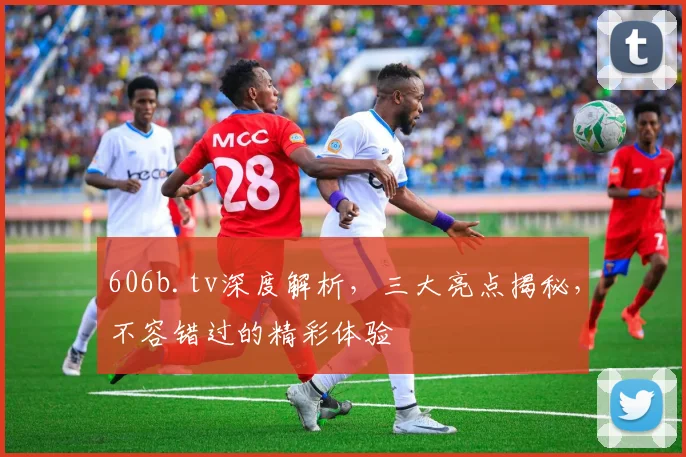 606b.tv深度解析，三大亮点揭秘，不容错过的精彩体验