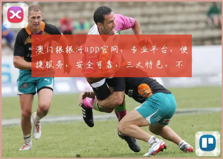 澳门银银河app官网，专业平台，便捷服务，安全可靠，三大特色，不容错过，必看攻略