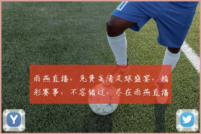 雨燕直播，免费高清足球盛宴，精彩赛事，不容错过，尽在雨燕直播平台，一网打尽