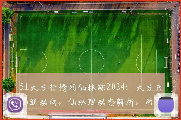 51大豆行情网仙林踪2024：大豆市场新动向，仙林踪动态解析，两大亮点揭示趋势