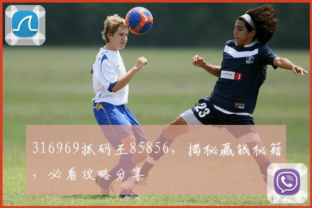 316969抓码王85856，揭秘赢钱秘籍，必看攻略分享
